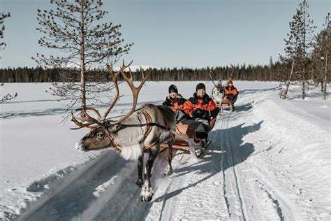 lapland safaris